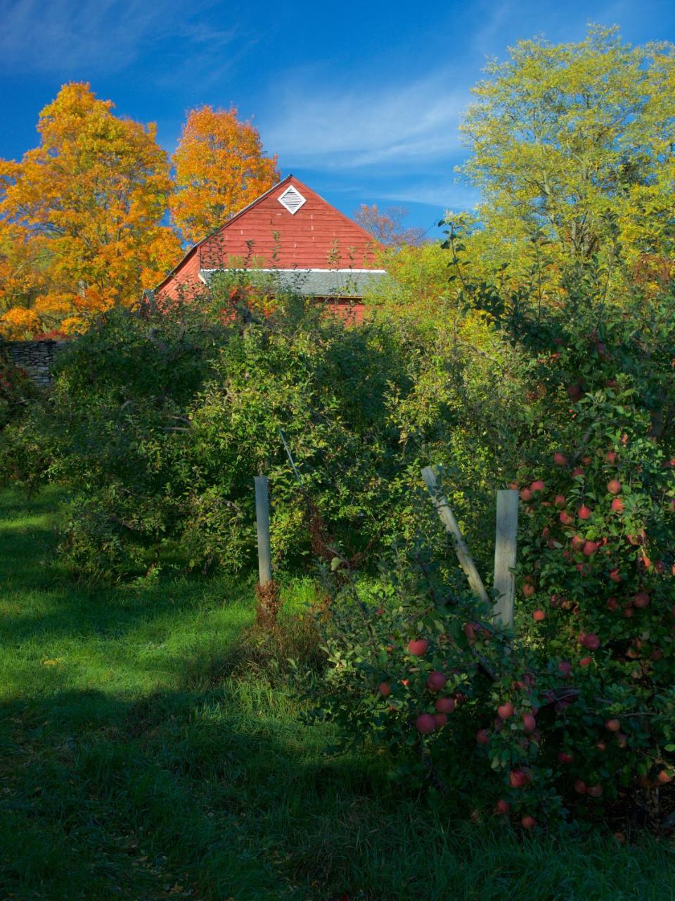 Danskammer House Bed & Breakfast Marlboro Bagian luar foto